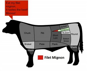 What is the difference between loin and fillet? [2025] | QAQooking.wiki