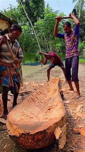 Palm Tree Turns Into Boat.