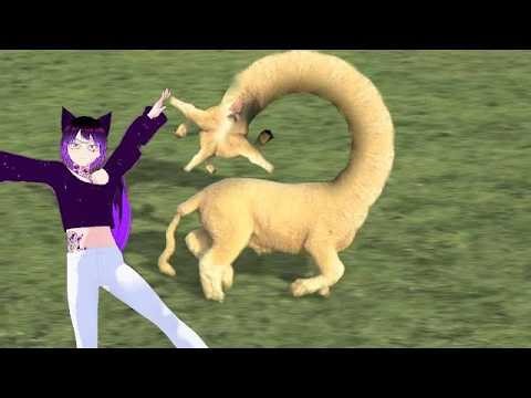 Реакция на: Baaa - cyriak