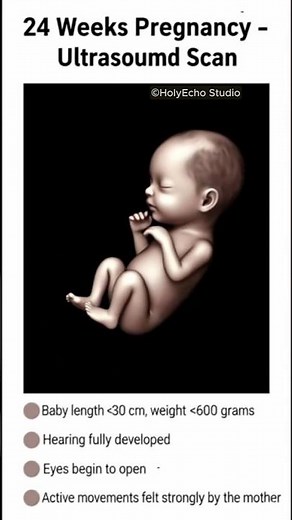 24 Weeks Pregnancy Ultrasound 👶 | Baby Development & Growth Explained #shorts