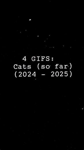 Jimmy Arca on Instagram: "4 GIFS: Cats (so far) (2024 - 2025) Animated gif compilation . . . #animation #compilation #animationreel #demoreel #cats #kittens #gif #handdrawn #framebyframe #visualnoise #inoiseaguy"