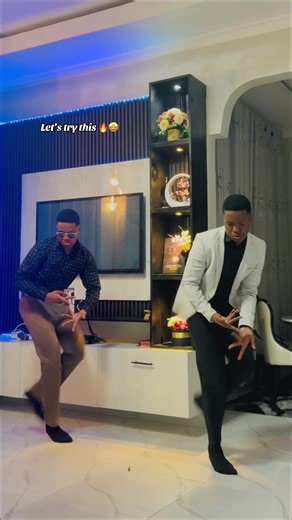 Joyful Dance Challenge with My Twin