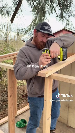 Building a DIY Piggy House with Recycled Materials