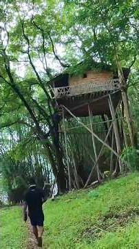 Best Forest stays in Kerala.