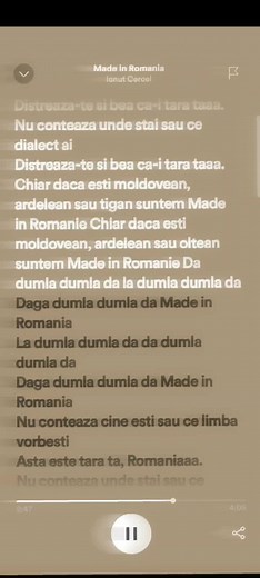 Traditional Romanian Manele Music by Ionut Cercel