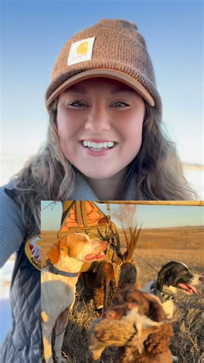 Pheasants Forever - Official on Instagram: "This year’s 2026 Pheasant Fest & Quail Classic Women on the Wing Brunch is going to be an event you won’t want to miss! In honor of bird dogs and how they get us into the uplands, our theme this year is A Friend in the Field. We will encourage participants to make connections as we discuss all things bird dogs, friends, and instilling confidence in the field with our keynote speaker, @kaliparmley. Get your tickets now at the link in our bio! #pheasants