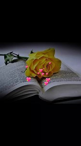 Marija Puškarić on Reels