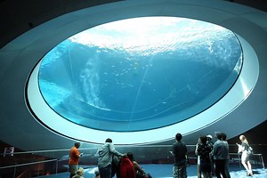 Miami’s Sprawling Frost Science Museum Is Finally Open