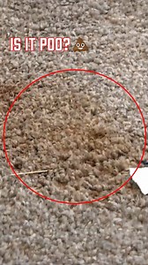 Are these the most disgusting houses you've ever seen? #disgusting #renting #fail | World's Worst Neighbours