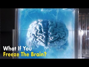 What If You Freeze Your Brain?