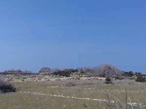 The Story of Pag Cheese: One Island, Two Iconic Factories, Dozens of Medals - Total Croatia