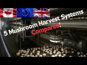 5 Mushroom Harvest Systems Compared | Automatic Mushroom Harvesting Machines