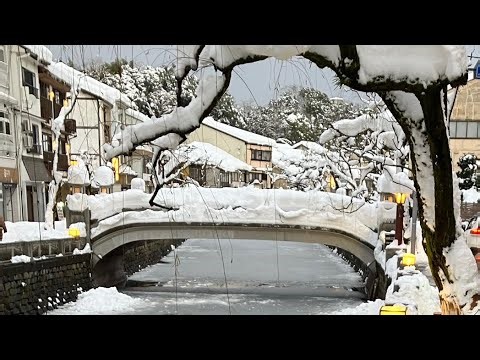 【鹿】京都、奈良、城崎温泉旅行記