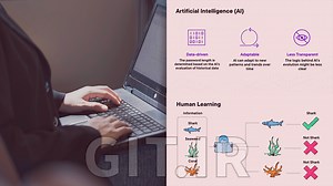 AWS Maching Learning and Artificial Intelligence Fundamentals