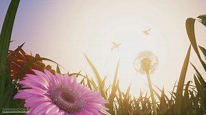 Insects is an interactive experience for Xbox One X