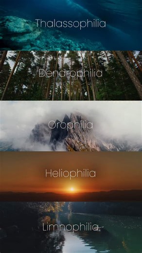 Rainforest Alliance on Instagram: "Experiencing symptoms of overwhelming joy in nature? You may be susceptible to the following: 🌊 Thalassophilia: love of the sea 🌳 Dendrophilia: love of trees or forests ⛰️ Orophilia: love of mountains 🌞 Heliophilia: love of the sun or sunlight 💧 Limnophilia: love of lakes or freshwater bodies Which one aligns with you the most? Personally, each one has a spot in our heart. 💚 #RainforestAlliance #Biophilia #Nature #NatureLover #Conservation"