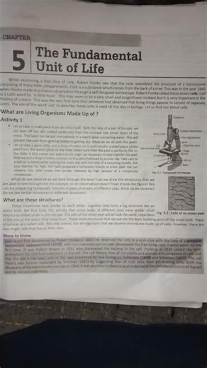 science chapter 5 cell class 9th#class9th#science
