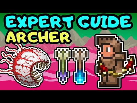 Beginner Archer and Bow Progression Guide! Terraria Expert Mode Guided Tutorial 1.4 2024