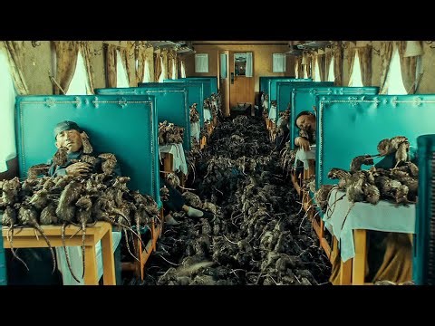 Massive Swarms Of Hungry Rats Attack And Start Devouring People One By One!