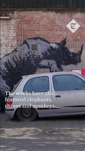 Banksy unveils final artwork in animal series at London Zoo