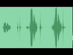 Vintage Camera Shutter Shot Sound Effects