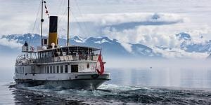 Best Image Stabilized Binoculars 2024-{Zoom!! with Confidence}