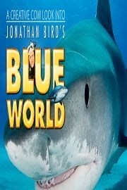 Watch Jonathan Bird's Blue World - Season 4 Season 6 Episode 7 - A Red Sea Expedition