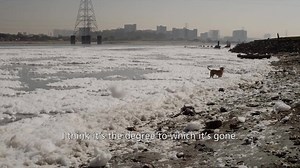 A little snippet from the film! Want to watch the rest? Check out our full trailer here 💙 http://bit.ly/riverbluetrailer | RiverBlue