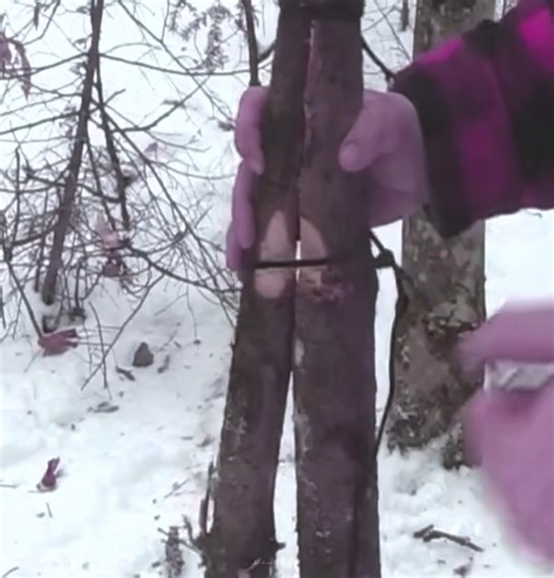 Blizzard survival with my dogs in remote winter conditions. | Bushcraft Survival