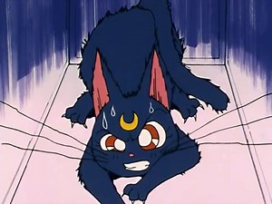 Sailor moon 12.rész