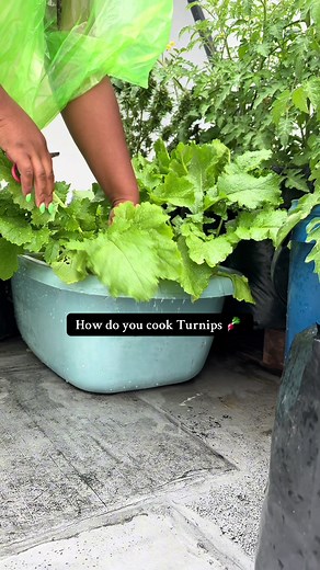 How to Cook Delicious Turnips: Simple Recipe Guide