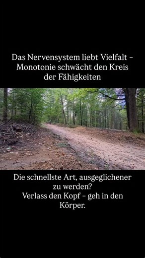 7K views · 63 reactions | Viele Menschen verstehen Training als...