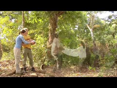 Biodiversity - from "The Wild Classroom"