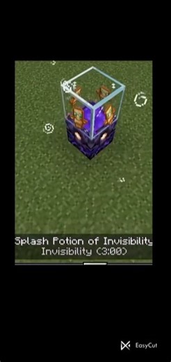 Minecraft new best tik tok hacks 💕