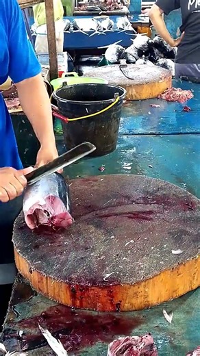 ⚡ Quick Tuna Fillet | Cut Yellowfin Tuna Like a Pro! #knifeskills #tunacutting #food #shorts