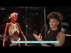 WOW! This Morning Visits Body Worlds London