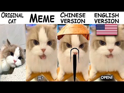 Chinese Cat Original vs Meme Vs Chinese version🐉 Vs English version🦅