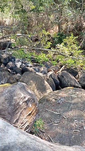 1.7M views · 50K reactions | Simone Vilete Givisiez Abreu on Reels | Facebook