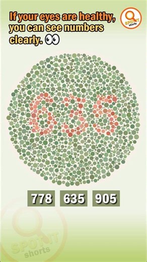 #042 👉 Eye Challenge 👀 Can You Spot the Hidden Number? | Color Vision Puzzle