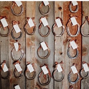 Wedding Horseshoes / WEDDING DECOR / Authentic Horseshoes Bulk Horseshoes for Wedding Place Holders Table Assignments Favors Keepsakes Gifts - Etsy