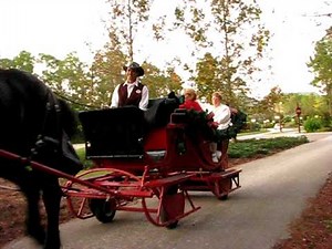 Wilderness Lodge Sleigh Ride at Walt Disney World - Horses Pulling "Sleigh"