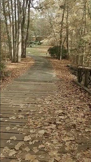 The real life Sleepy Hollow Bridge #sleepyhollowny #sleepyhollow #spooky #headlesshorseman