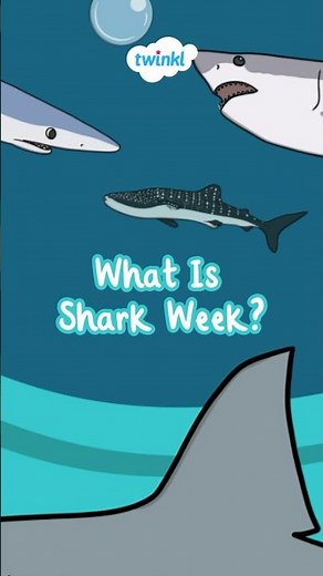 What Is Shark Week? | Fun & Easy Shark Week Explanation for Kids | Twinkl USA