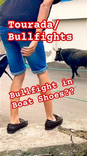 Boat Shoe Bullfights!! #azores #travel #adventure