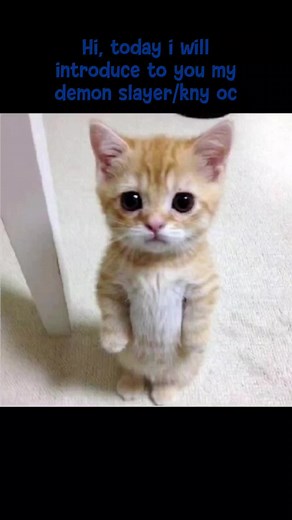 Creating a Demon Slayer Original Character (OC)