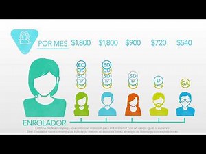 Plan de compensación 6 Pasos para ganar dinero con Mannatech