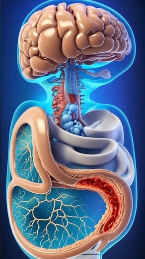 How the Human Brain Works: Stunning Animation Explained!