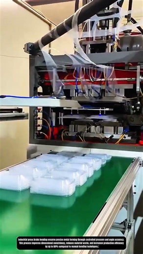 Automated Thermoforming Process for High Precision Plastic Food Tray Production