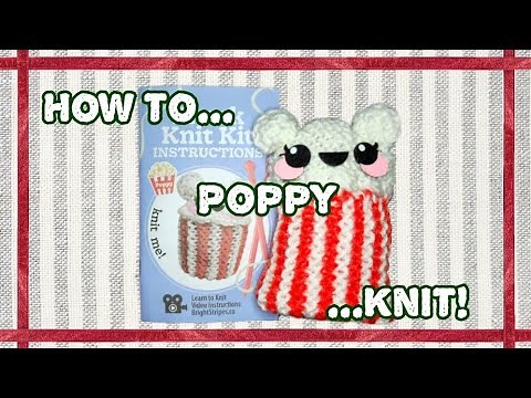Five Below | Itty Bitty Knit Kit | Knit Kit | Poppy | How to