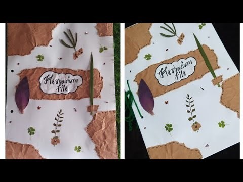 Diy herbarium file | how to make herbarium file at home #herbarium #project #diy